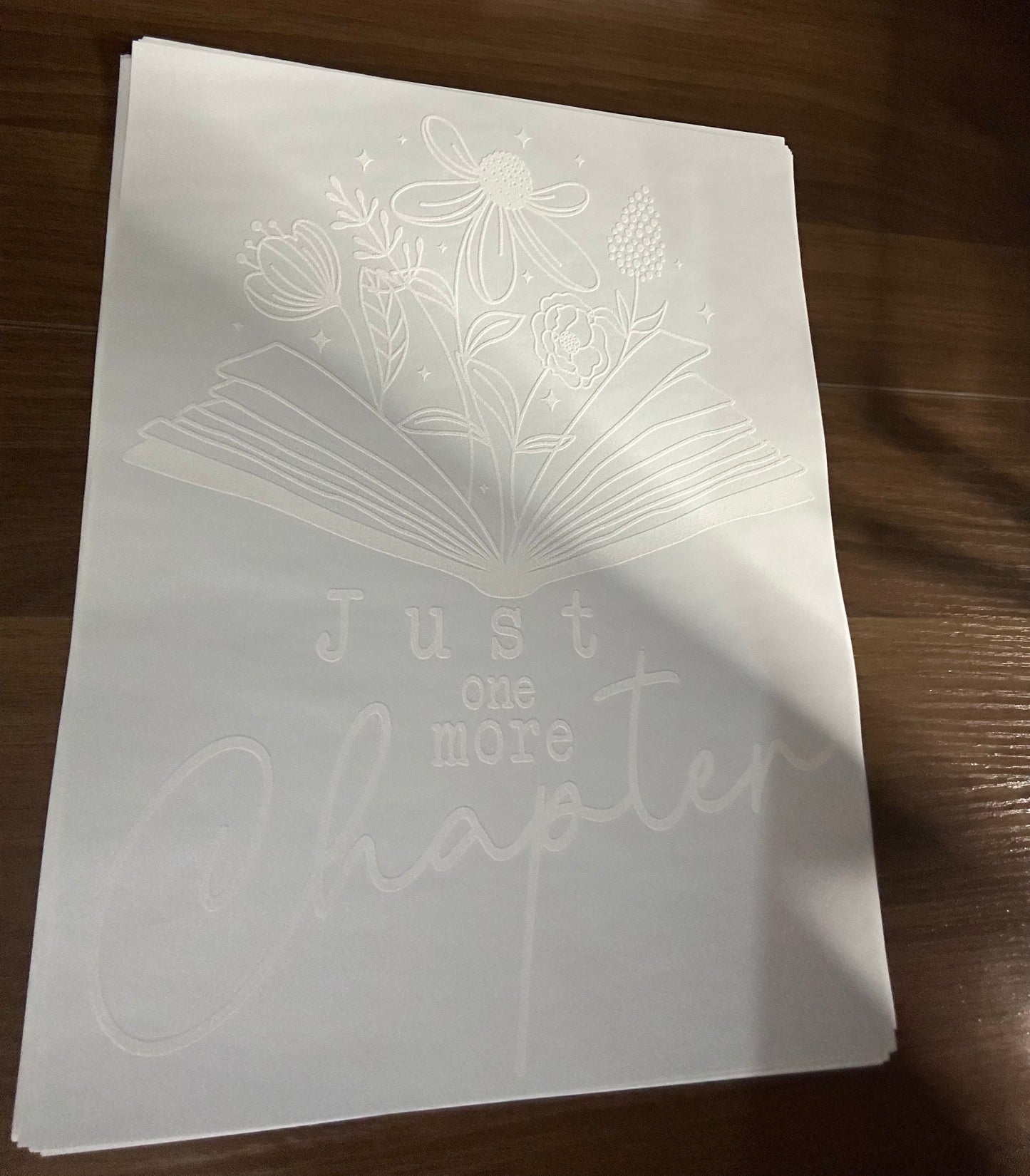 SCREEN PRINT SINGLE COLOR - JUST ONE MORE CHAPTER M21