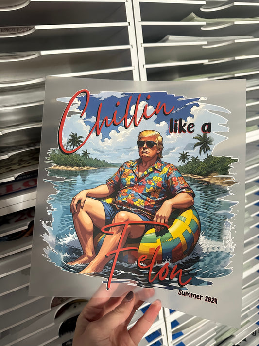 FULL COLOR SCREEN PRINT - Chillin like a Fellon